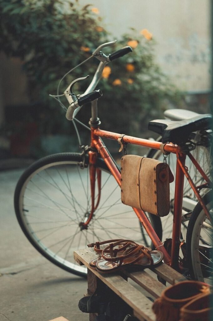 Wittenberg und Umgebung